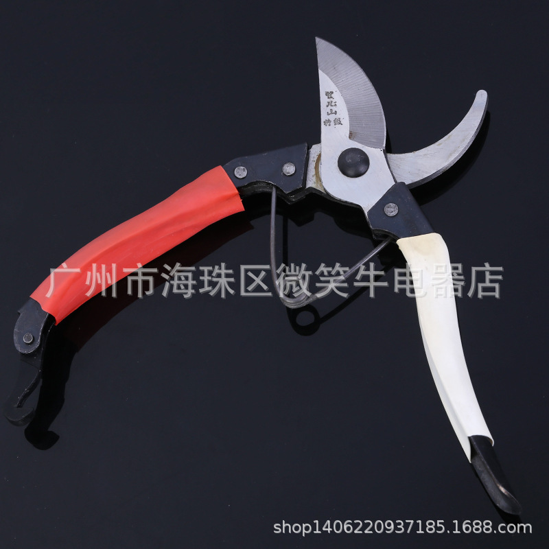 树枝剪刀 果枝剪 鸟嘴修枝剪  园林剪刀  锋利园林工具剪刀