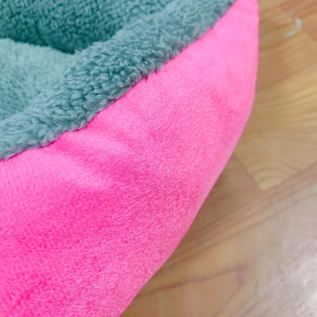 微信图片_202011131123068