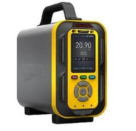 手提式多功能复合气体分析仪 型号CSMA-NGP40-90库号M401757