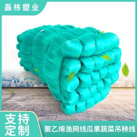 渔网线 大棚用吊线 瓜果蔬菜吊秧线 聚乙烯线 塑料线捆绑线建筑线