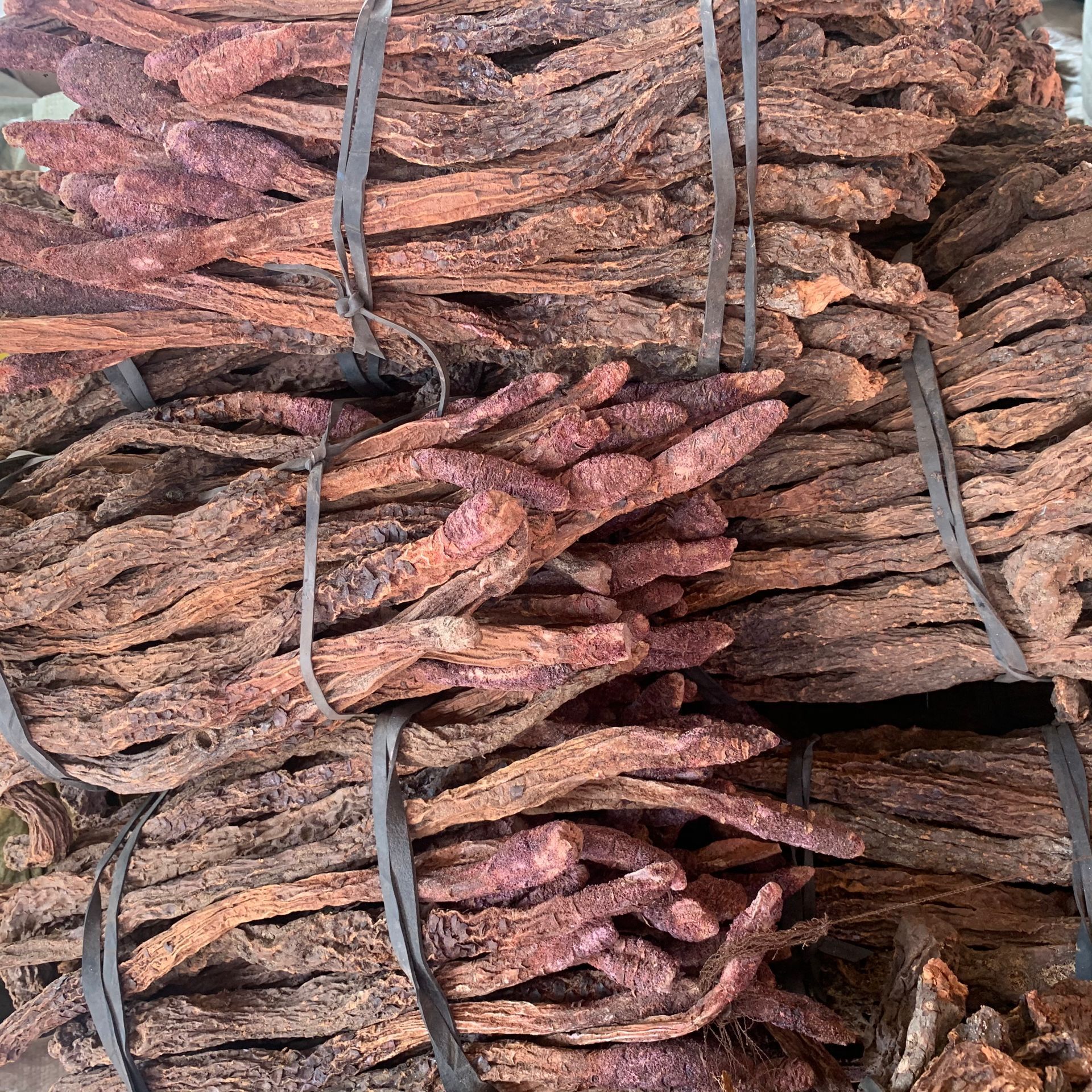 Cynomorium Songaricum Sliced Suo Yang Dried Herb for Herbal Wine and Decoctions 500g specifications