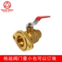 valve带锁forgedpump球阀