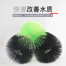 �~���^�V����ëˢ�~�،��Ã�ˮ�\���~�؃��|���P��^�V�~��ëˢ