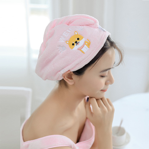Factory direct supply polyester brocade coral velvet absorbent hair drying cap cute embroidered adult hair drying cap absorbent drying hair towel wholesale