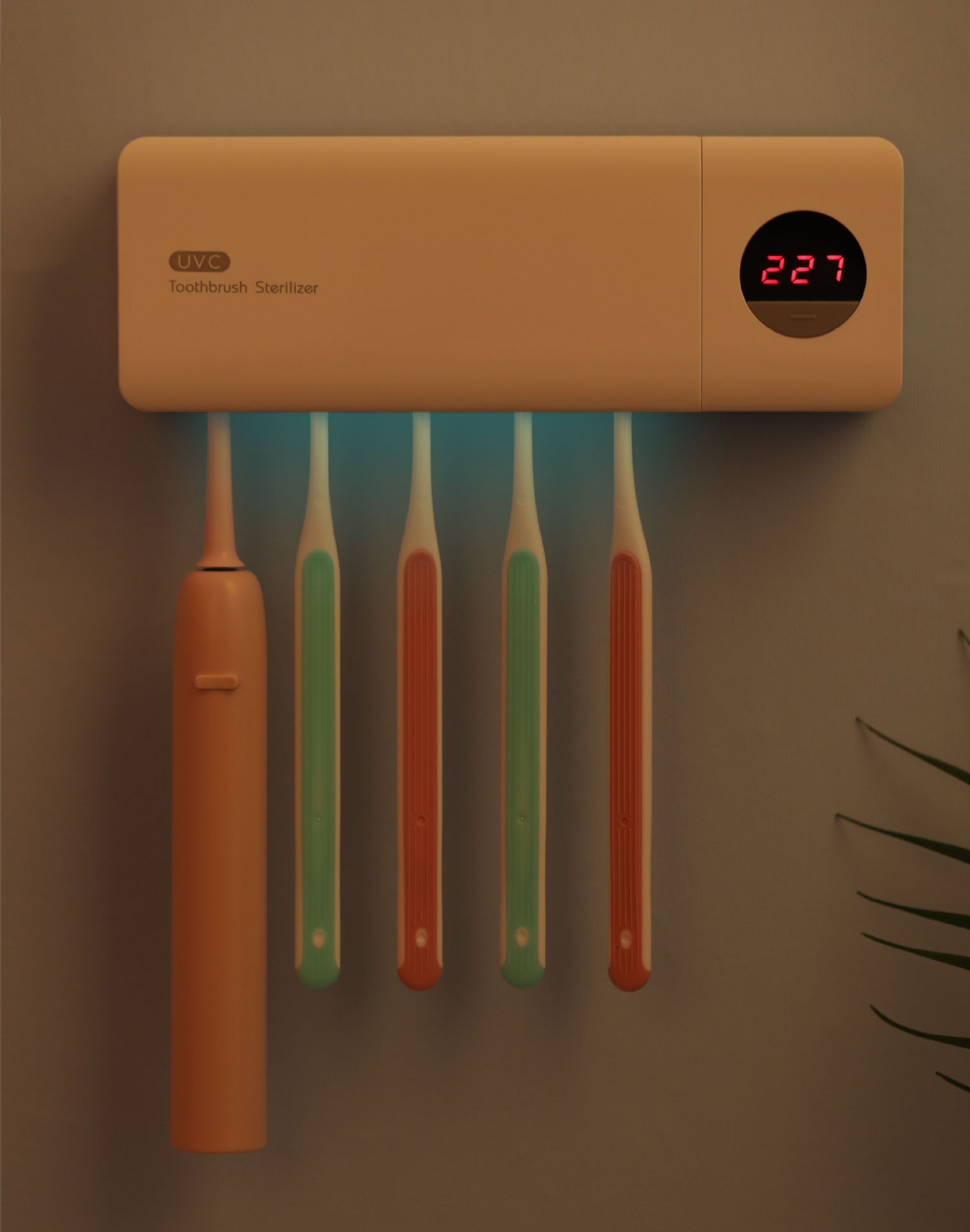 Toothbrush Sterilizer