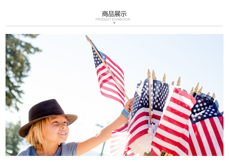 美国手摇旗_07.jpg