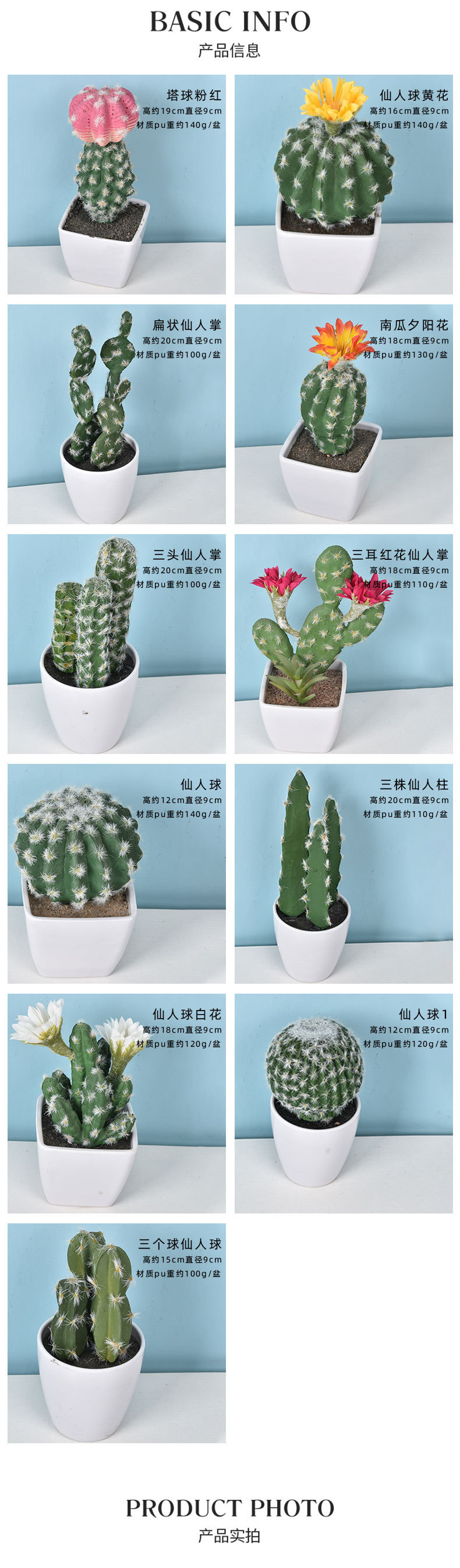 芮贝-仙人球_02.jpg