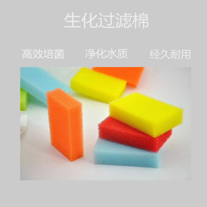 11153061111_1224504201