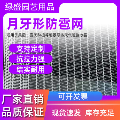 绿盛厂家直销花园果园防鸟网 耐拉扯防护网 接受定制月牙形防雹网|ms