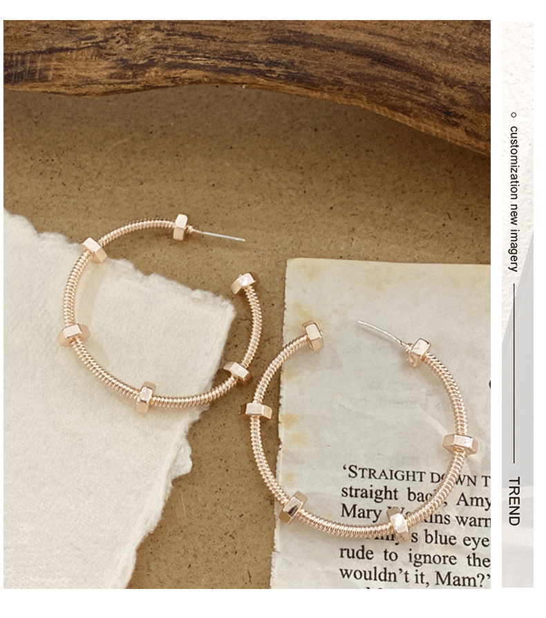 925 Silver Earrings