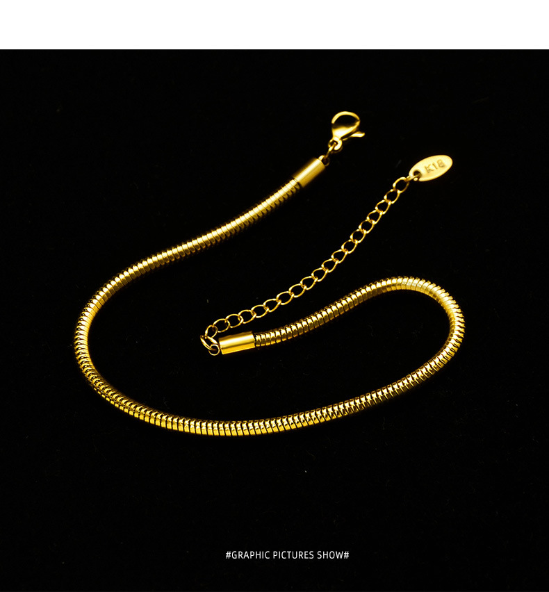 Round Snake Texture Real Gold-plated Anklet Titanium Steel Material 18k Real Gold-plated Non-allergenic Anklets Wholesale Nihaojewelry display picture 15