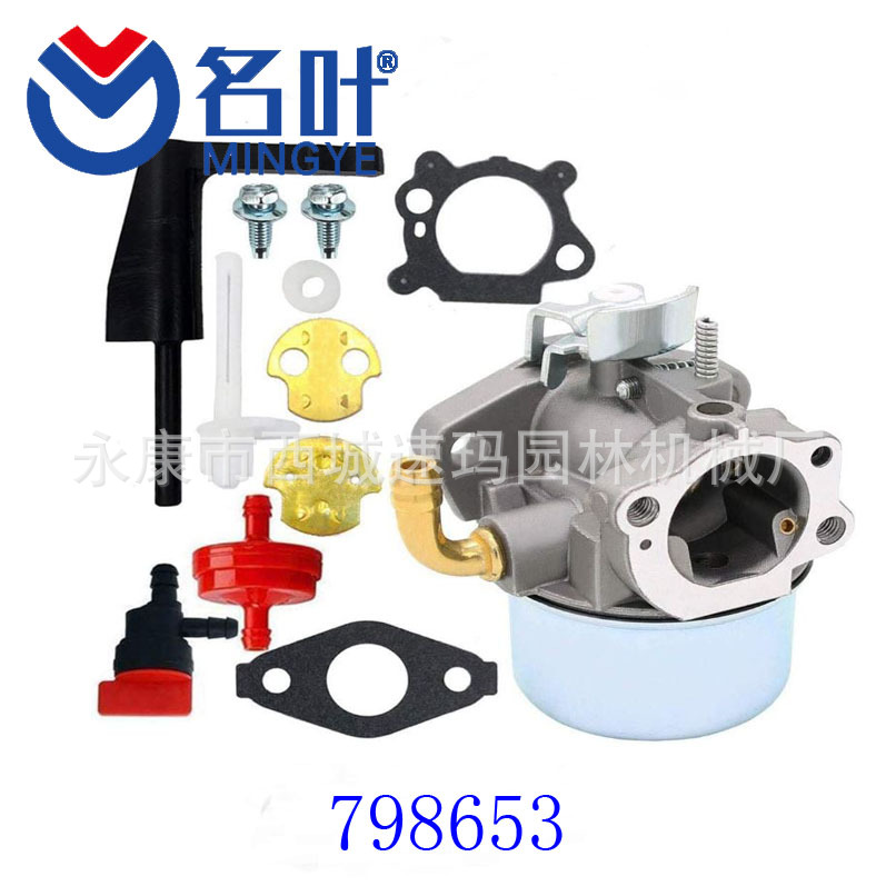 798653 Carburetor for Briggs &