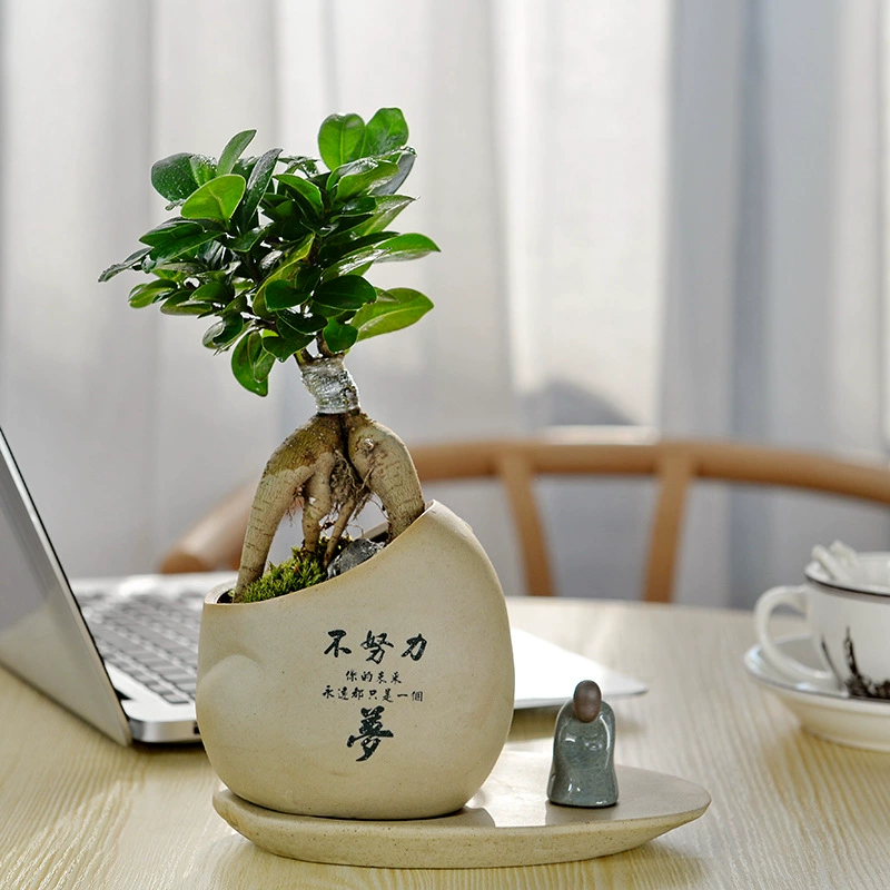 Креативный горшок для бонсай в китайском стиле персонализированный цветочный горшок керамические декоративные украшения маленькое растение в горшке с подносом неглазурованный керамогранит