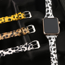 Ƥ펧mOֱapple watchƤ펧 Oֱ킀Աc펧