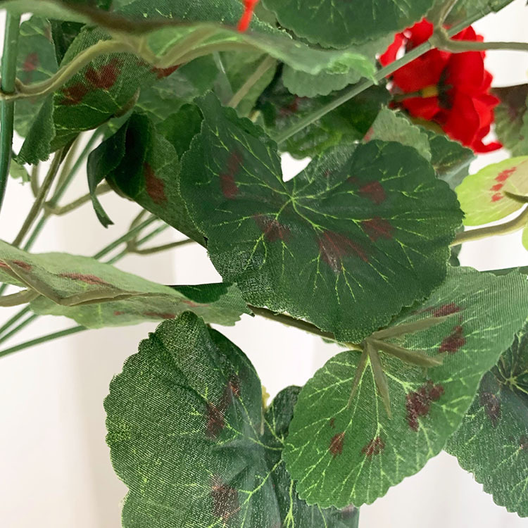 IMG_2135(20200527-094743)_wps图