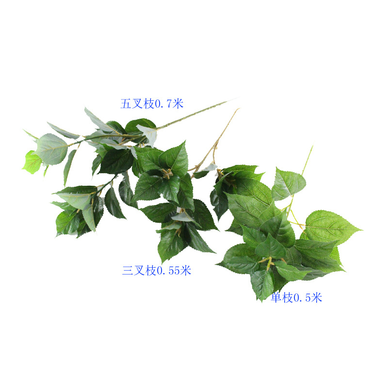 XRB-182 单枝竺麻叶0.5米20叶8.jpg