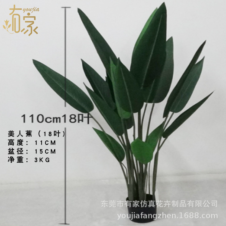 1,1 metros de hojas 18 hojas