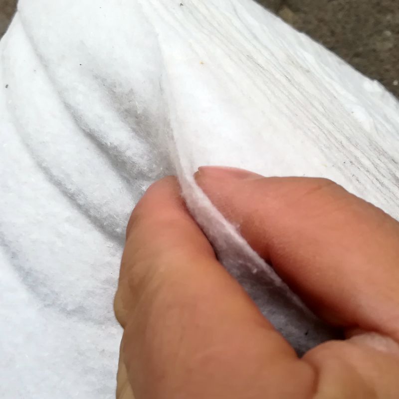 QQ图片20200219185123_副本