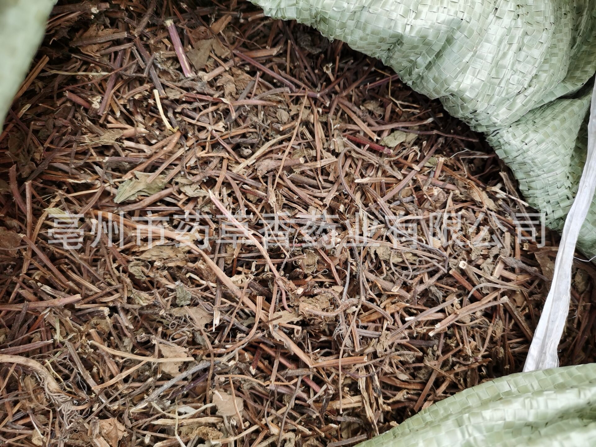 批发凉粉草 仙人草 仙人冻 仙草干 草本凉茶原料 产地直销凉粉草-阿里巴巴