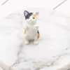 Little cat
