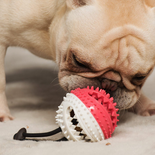 Pet Supplies Amazon Dog Toy Food Ball Rubber Teething Resistant Bite Bell Sound Ball Manufacturer