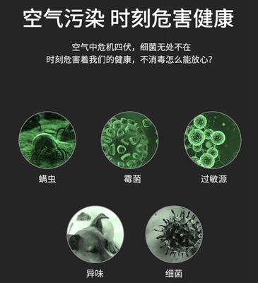 强劲便携式移动紫外线消毒灯带臭氧家用室内车载充电式迷你杀菌灯|ms