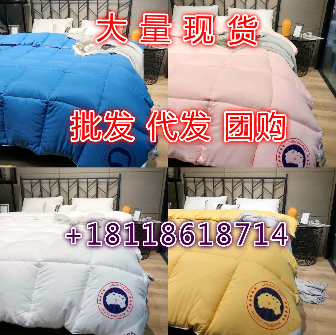 源头厂家加拿大大鹅羽绒被加厚保暖单双人被芯高档礼品一件代发|ru