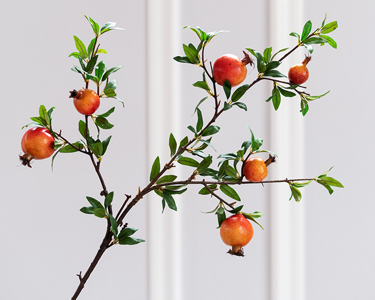 多叶6头石榴 桔色_03.jpg