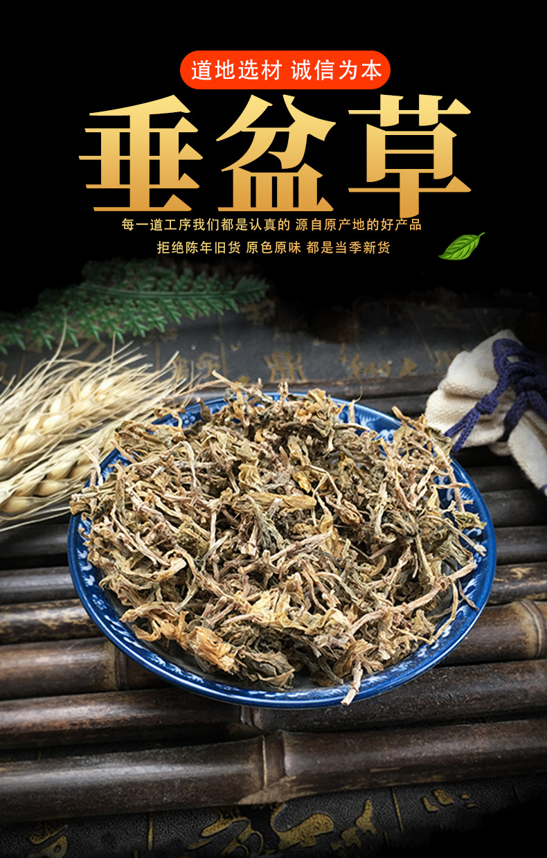 Dried Sedum Herb Chui Pen Cao Loose Bulk 500g Freshly Sun Dried Whole Plant key features