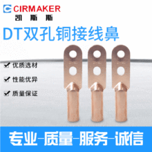 DT双孔铜接线鼻铜线耳厂家直销