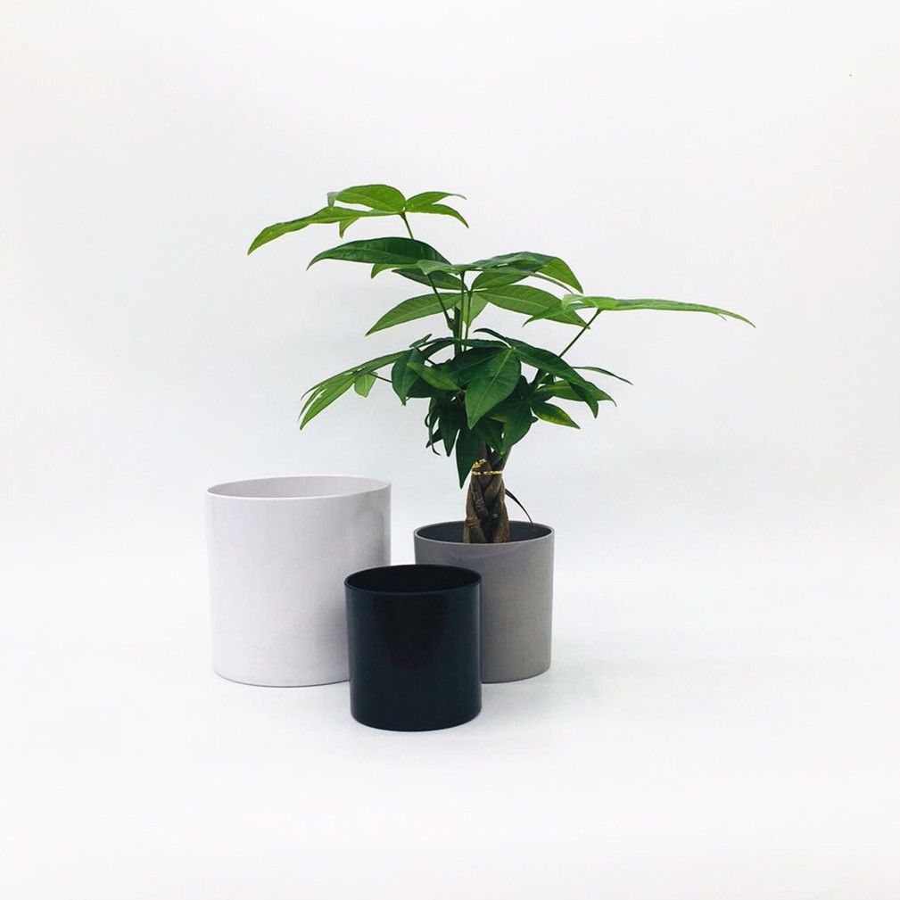 厂家直销马卡龙色系直筒花盆简约北欧风塑料仿瓷多肉植物花盆详情图7