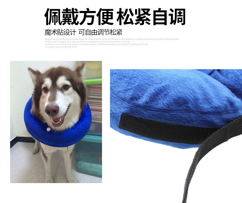 宠物围脖防咬圈_04.jpg