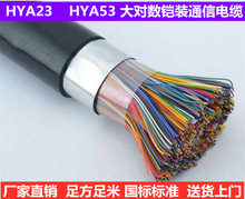 HYA23ͨ����|��̖20*2*0.5�z�b�Ԓ��|�S�����l�r��