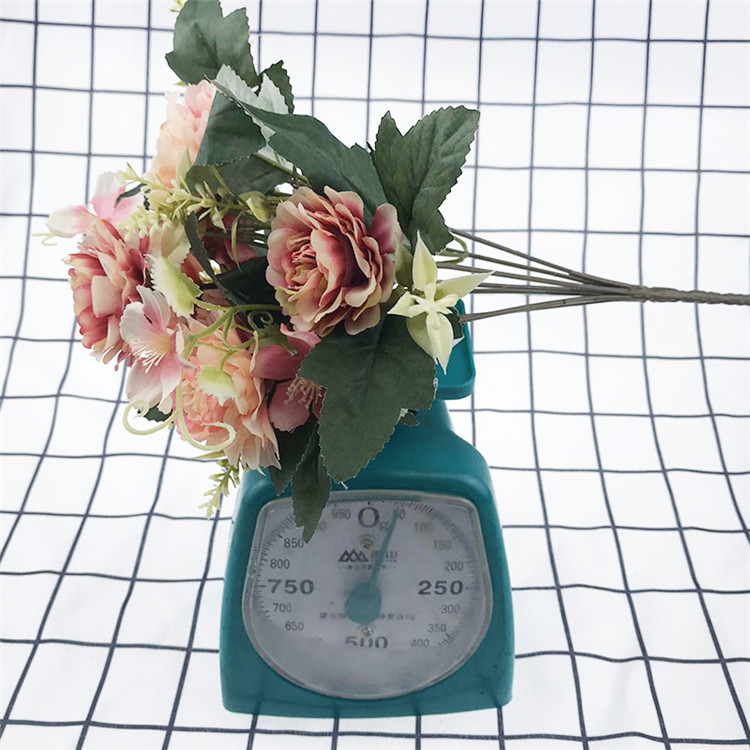 7头南方牡丹-主_12 (13).jpg