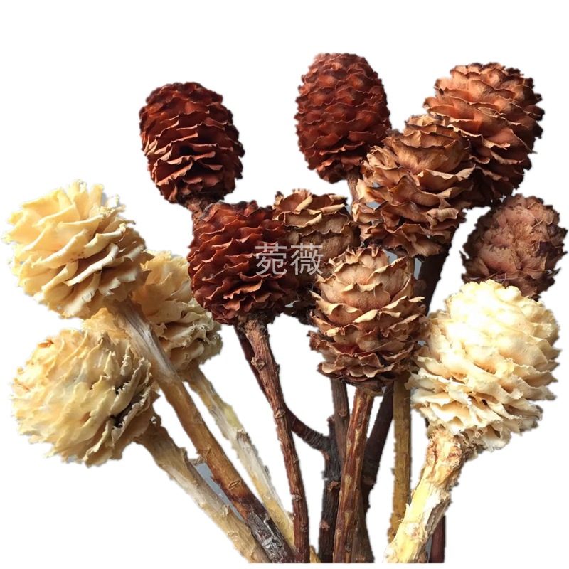 微信图片_20200422003340_副本