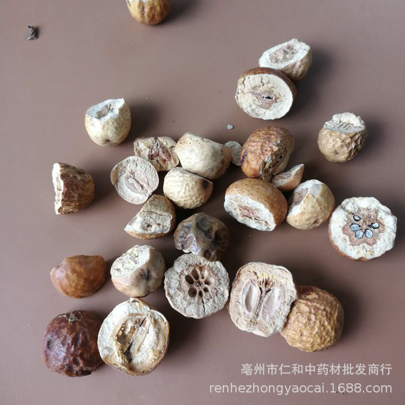 Chuan Lian Zi Dried Toosendan Fruit Whole Sichuan Chinaberry 川楝子 500g Bulk Herbal Ingredient key features
