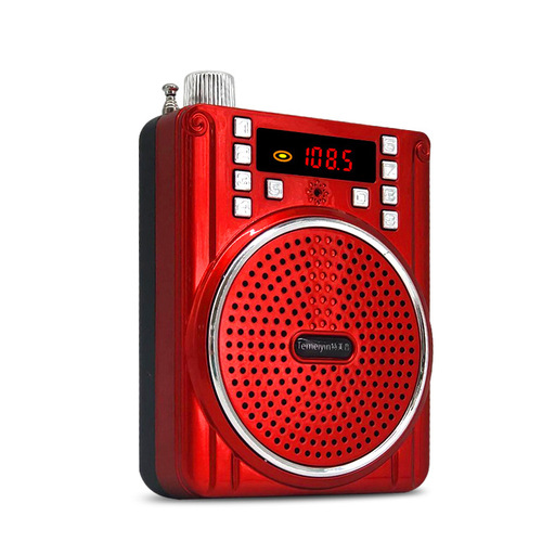 Special Beauty Sound 303 Bluetooth Speaker Honeybee Teacher Use Professional PA System Elder Street Music Player