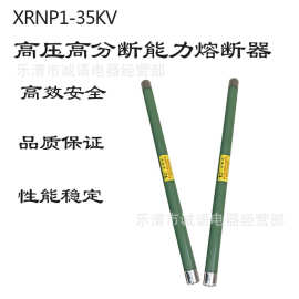 XRNP1-35KV/0.5高压限流熔断器高分断熔管熔芯 0.5A 1A 2A 3.15A