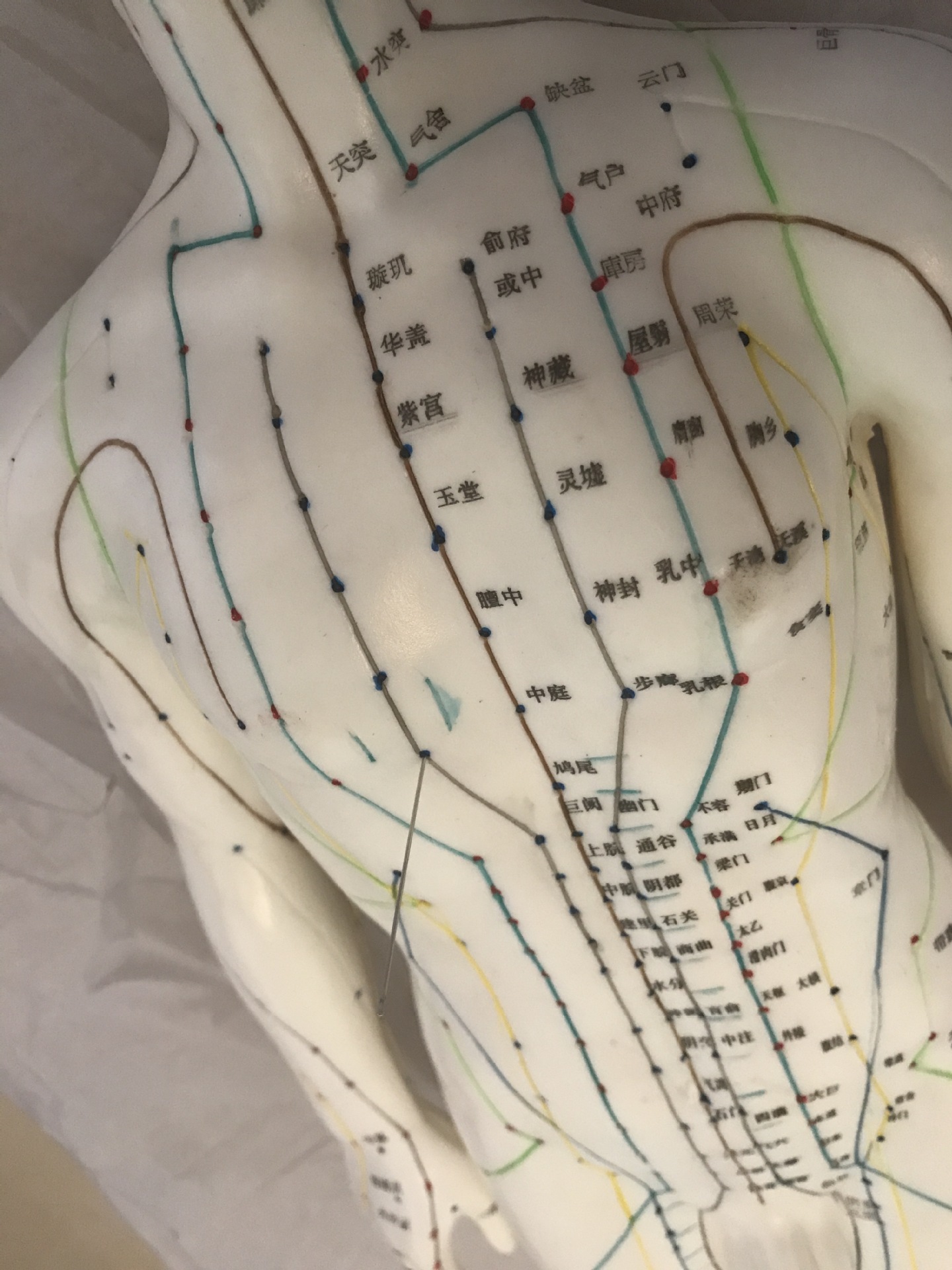 Acupuncture, 60cm