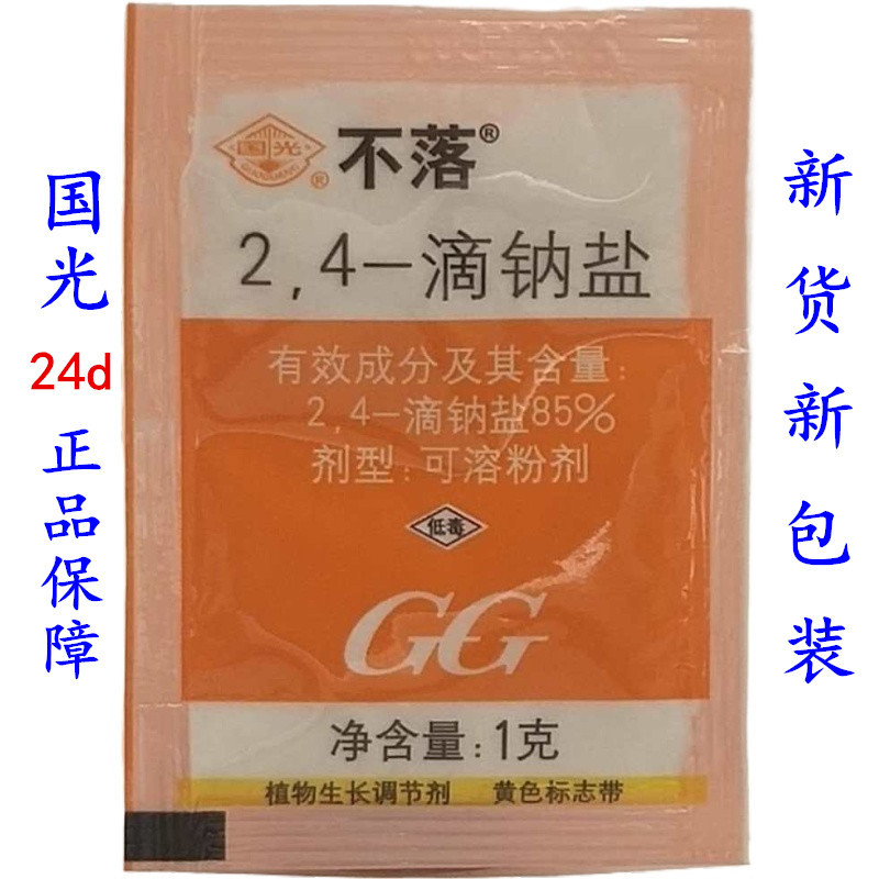 24d 正面8002_带字2
