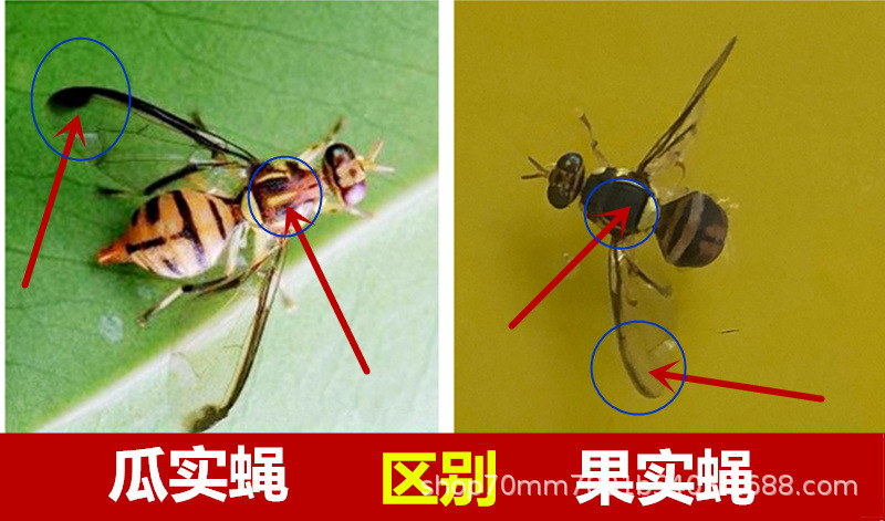 23_副本_副本.jpg