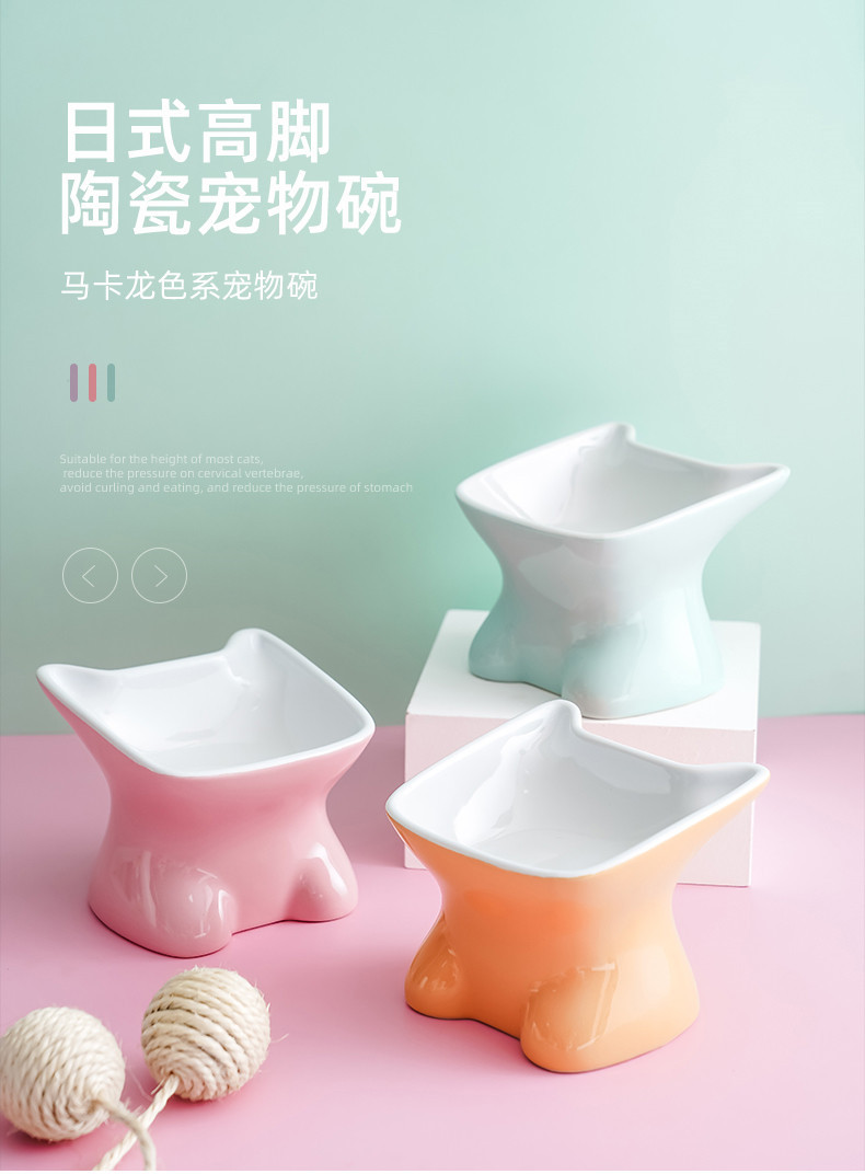 宠物碗_01.jpg