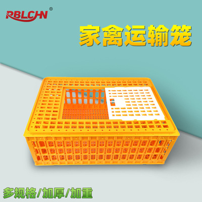 鸡笼 加厚家禽运输周转箱特大号 小鸡鸭鹅鸽子塑料笼框 养鸡设备|ru