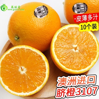 澳洲新奇士3107黑标脐橙10个进口甜橙脐橙大果橙子新鲜孕妇水果