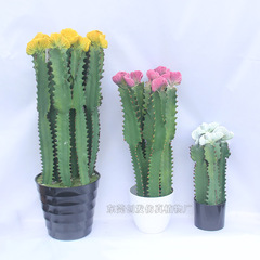 多肉仿真綠植仙人掌 室內假樹盆栽擺件蟹爪仙人掌 量大從優廠家