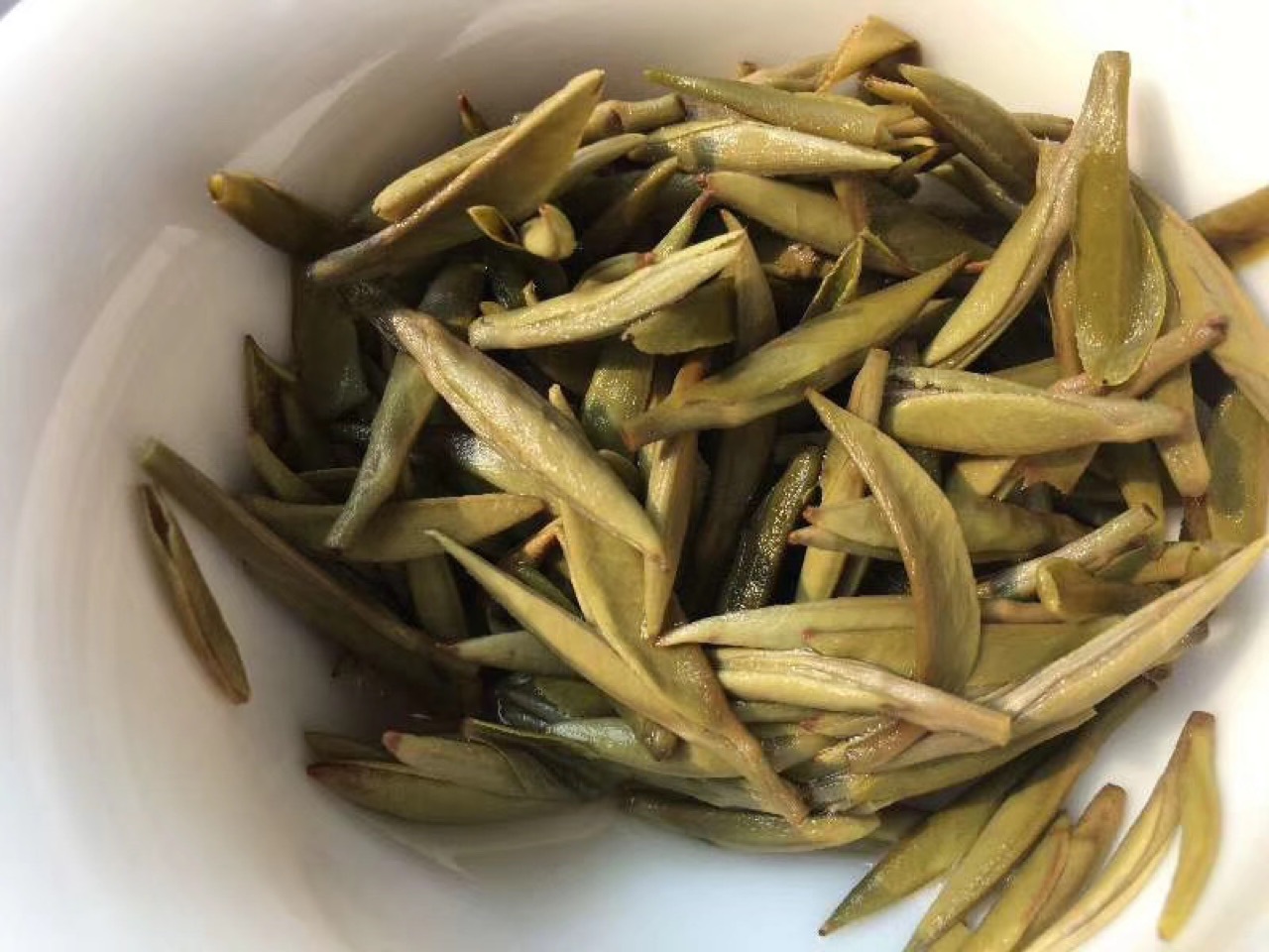 福鼎高山核心产区白茶 荒野头采白毫银针