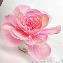 cY·yӚWu׃ɫ ͯɌbֹ