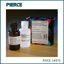 PIERCE 34075 0�־��ͻ�ѧ������� 100ml
