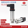 Guerin high frequency Dynamic pressure Transmitter sensor Instantaneous Frequency Waveform Fluctuation
