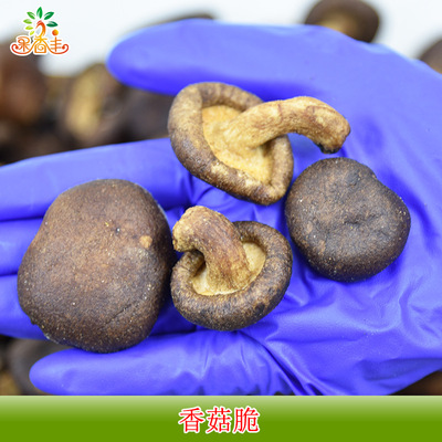 [Guoxiangfeng] VF Hypothermia Fried mushrooms 500 G large package Fruits and vegetables Chips Dry vegetables wholesale